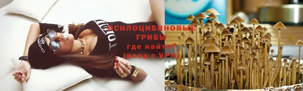спайс Беломорск