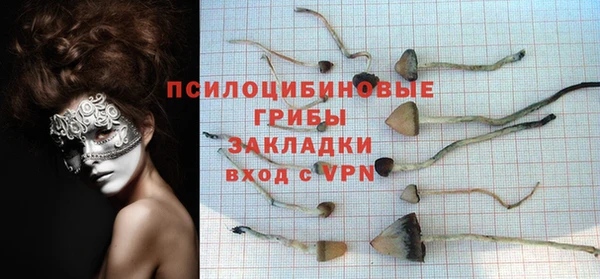 спайс Беломорск