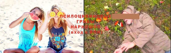 стаф Белоозёрский