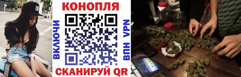 МАРИХУАНА сатива  Купить где  Мглин 